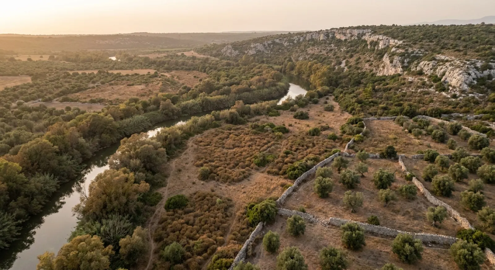 Valle fluviale con vegetazione ripariale e uliveti terrazzati in Sicilia orientale